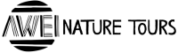 Logo site_menu_correto