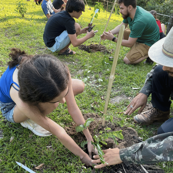 Educação_ambiental_AWEI (3)